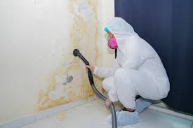 Minier, IL Mold Removal Company